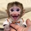 emre59521