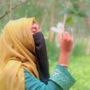 mdjakir.hosain2