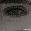 shoog8023