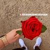 user50751777593397