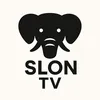 SLON TV
