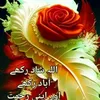 janjua.786.uk