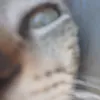 m.i.n.i.l.u.n.a