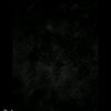 steven.toapanta54