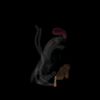 nightmare_dreams