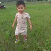 embe_sobi