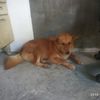 user5325872204435