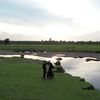 zilagunawan