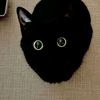 secretcoq