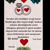 tark.ziyad2