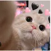 mai_2k132