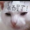 user5068381214188