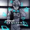 perlofka.exe