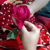 user8219227730088