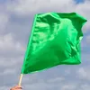 GREEN FLAG POSTS