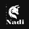 nadi_v3