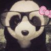 zhenyaz66