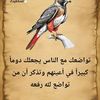user3501229000568