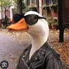 .sofi772