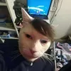 counterxyles