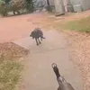 elias.ylpp