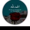 user_543862
