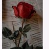 mery.fatma1