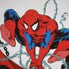 spidermanstanleesbest