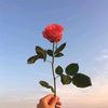 sor4ya_aaaa