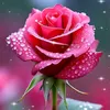 user42856132811930