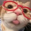 srey.oun4285