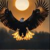 mohammad.asiri97