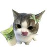 matcha_girl233