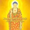A Di Đà Phật - Cực lạc tịnh độ