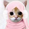pinkqi1jamal2jamil3