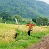 winda.anugrah.fan
