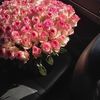 mariam_alm_