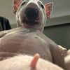 _marctinx