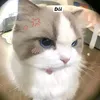 thienthanxinhdepnhattg