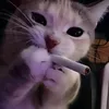 dofdanger3