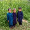 naseeb.khan3640