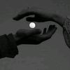 lina.ali6977