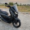 paus_darat02