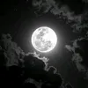 mahdi.aliraqi4
