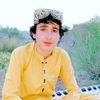 niazbin.gul