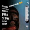 angel.omar.morale57