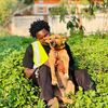 heavenofdogs50