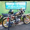 pipin2954