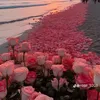 lamnailodanang