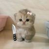 soundous_bn_20